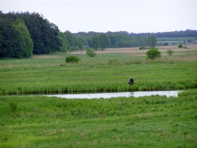 zdjęcie: Nadnarwiański krajobraz (fot. B. Komarzewski)
