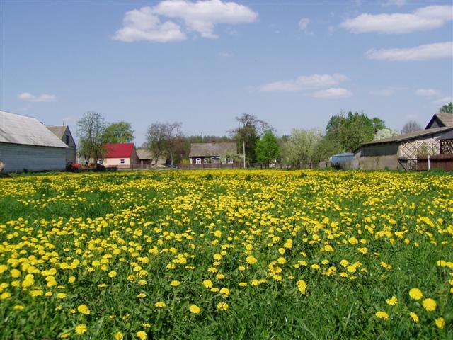 zdjęcie: Wieś Kalnica (fot. B. Komarzewski)
