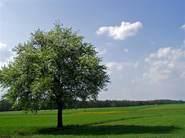 zdjęcie: Krajobraz (fot. B. Komarzewski)