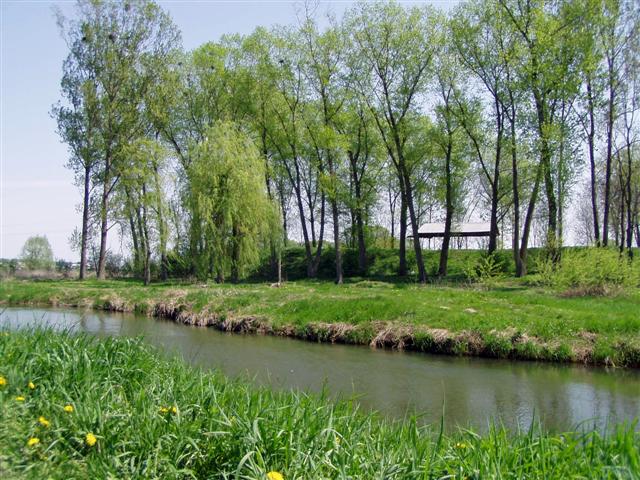 zdjęcie: Okolice brańskiego Zamczyska, rzeka Nurzec