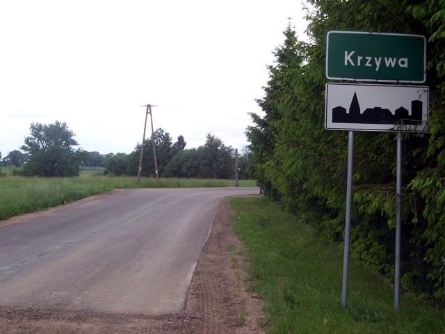 zdjęcie: Krzywa